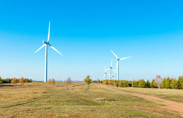 Renewable Energy